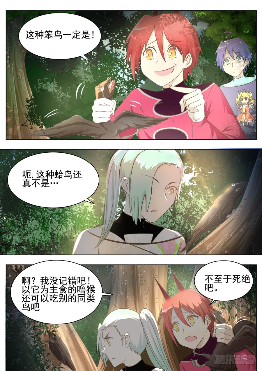 第四十一话：森林中！-第41话