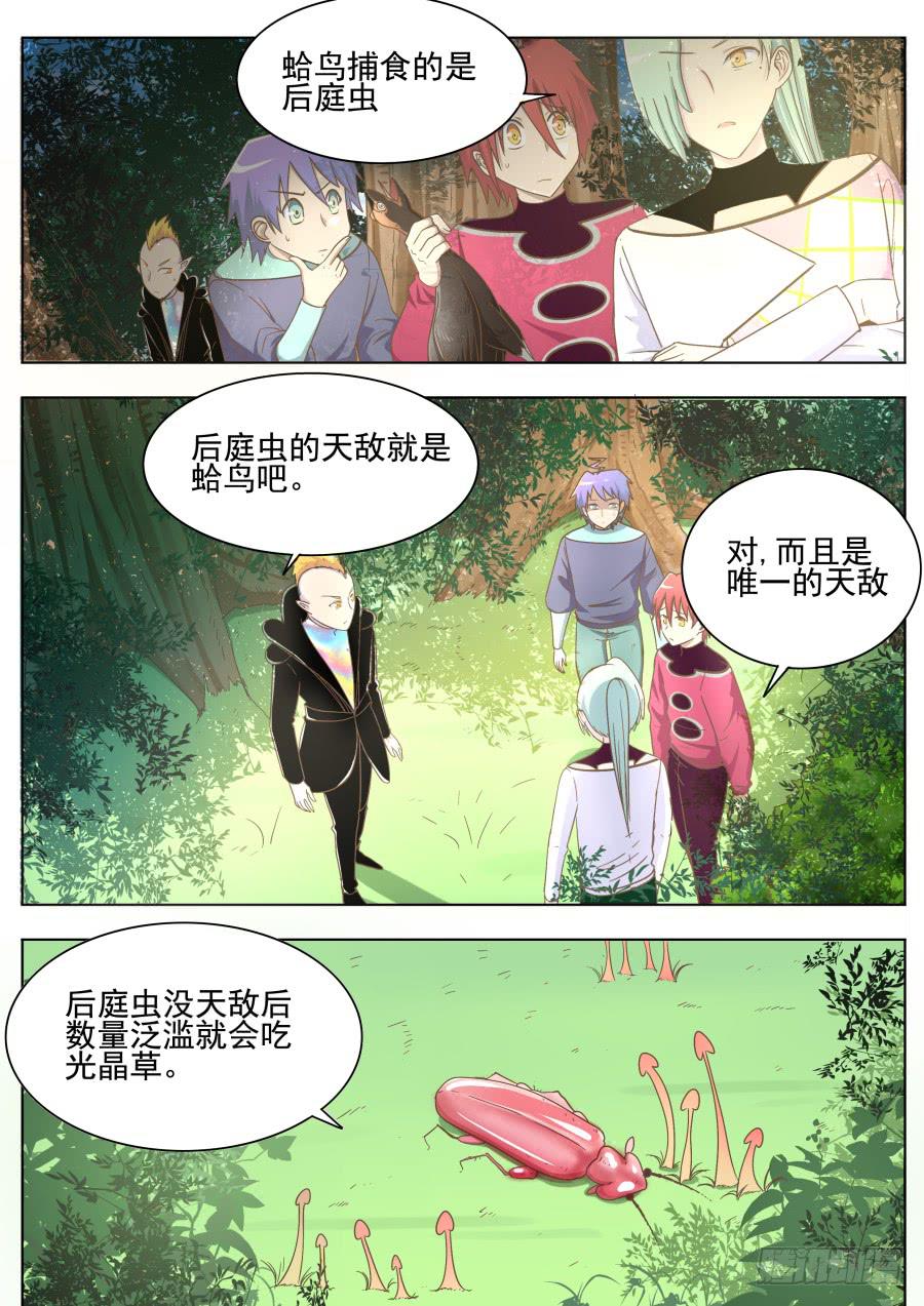 第四十一话：森林中！-第41话