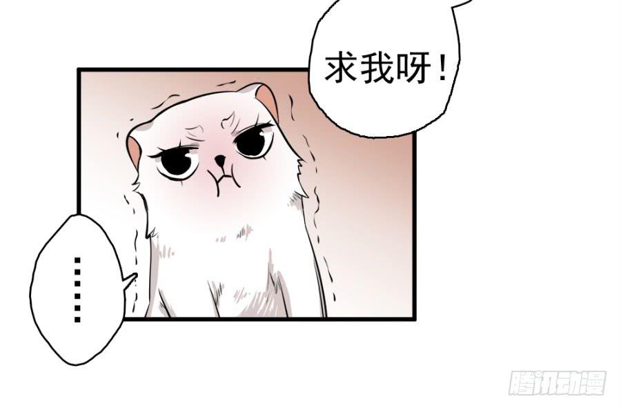 第19话&middot;重返虎狼之地(1/2)-第21话