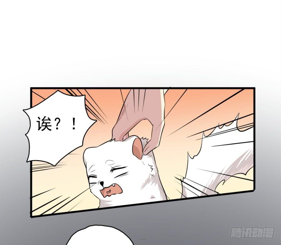 第19话&middot;重返虎狼之地(1/2)-第21话