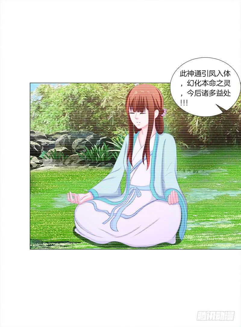 49、有凤来仪-第49话