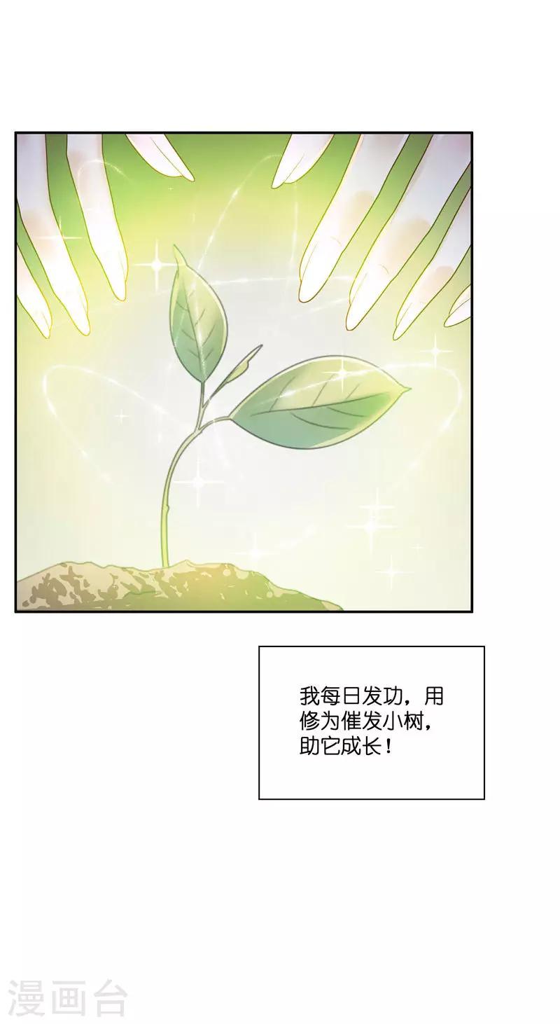 第31话 树妖的孩子-第31话
