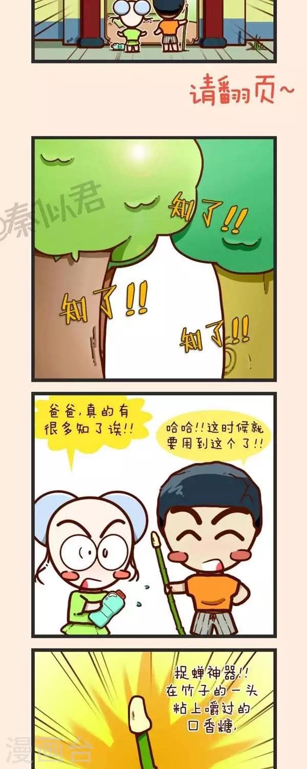 第37话  捉知了-第37话