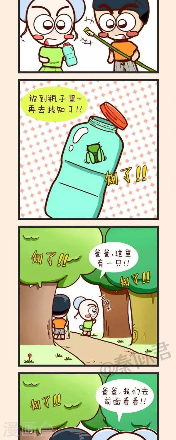 第37话  捉知了-第37话