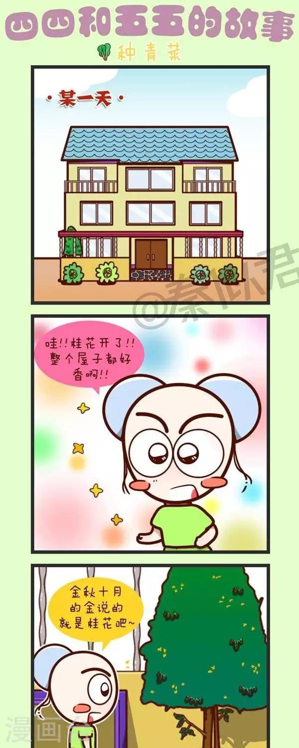 第45话  种青菜-第45话