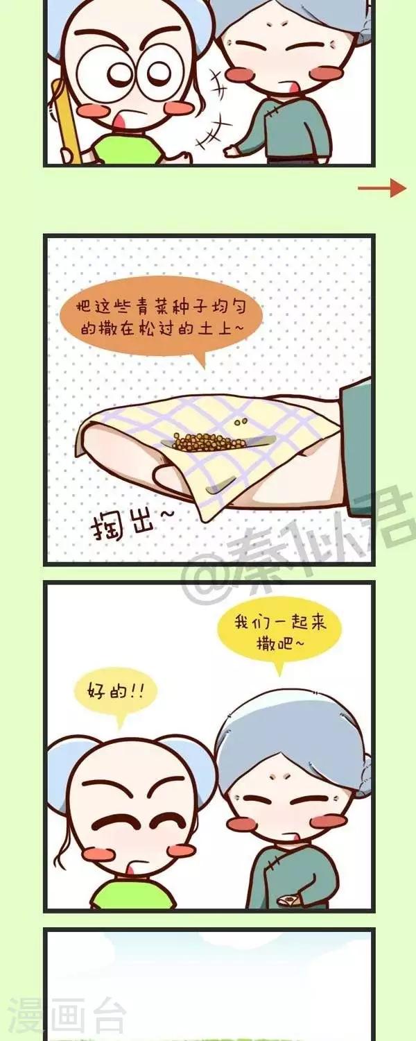 第45话  种青菜-第45话