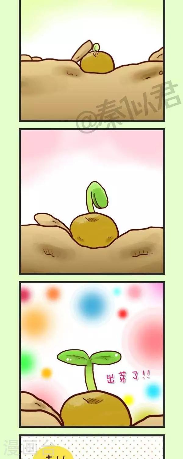 第45话  种青菜-第45话