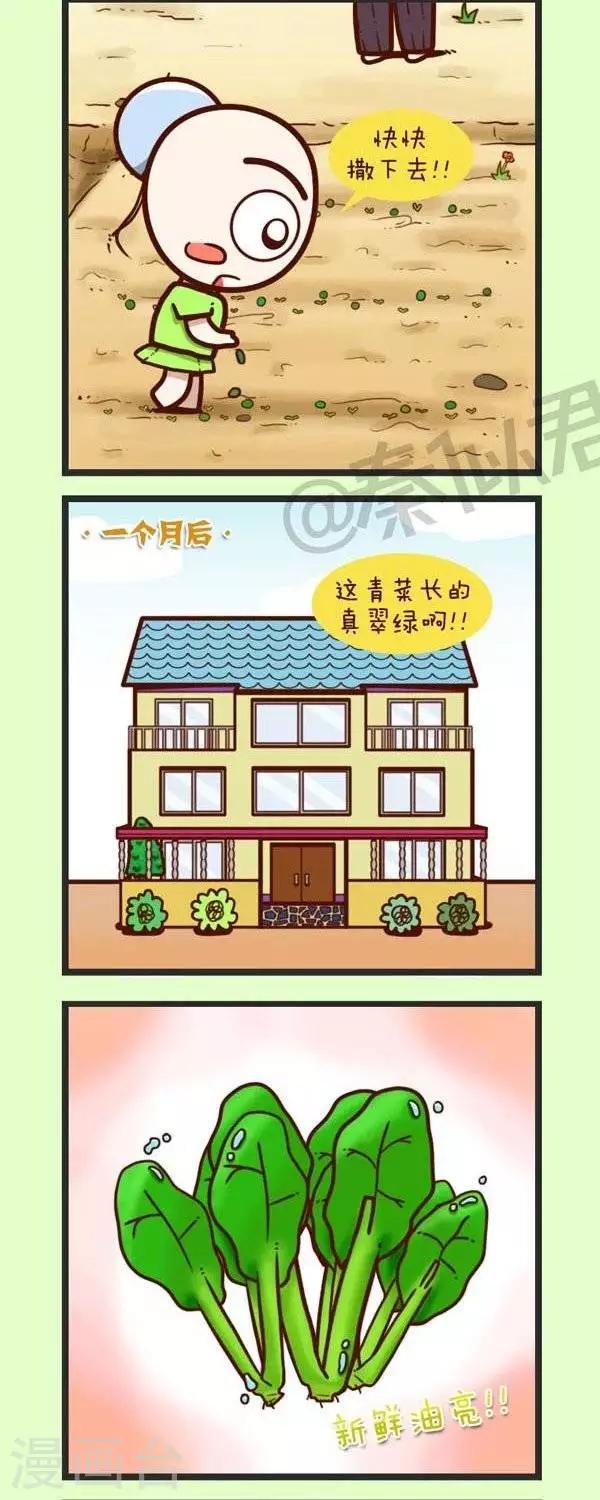 第45话  种青菜-第45话