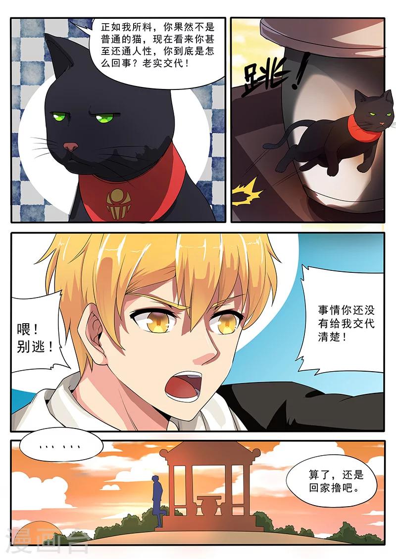 第3话 黑猫伴随梦境来-第3话
