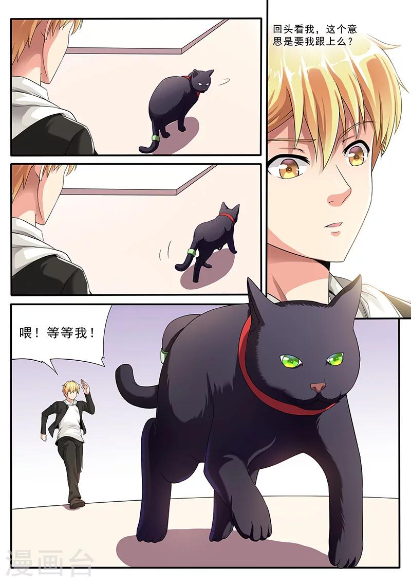 第3话 黑猫伴随梦境来-第3话
