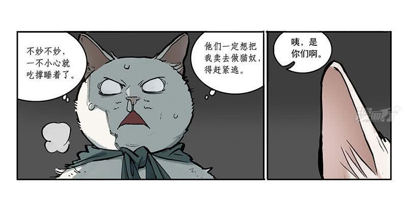 22 猫奴-第21话