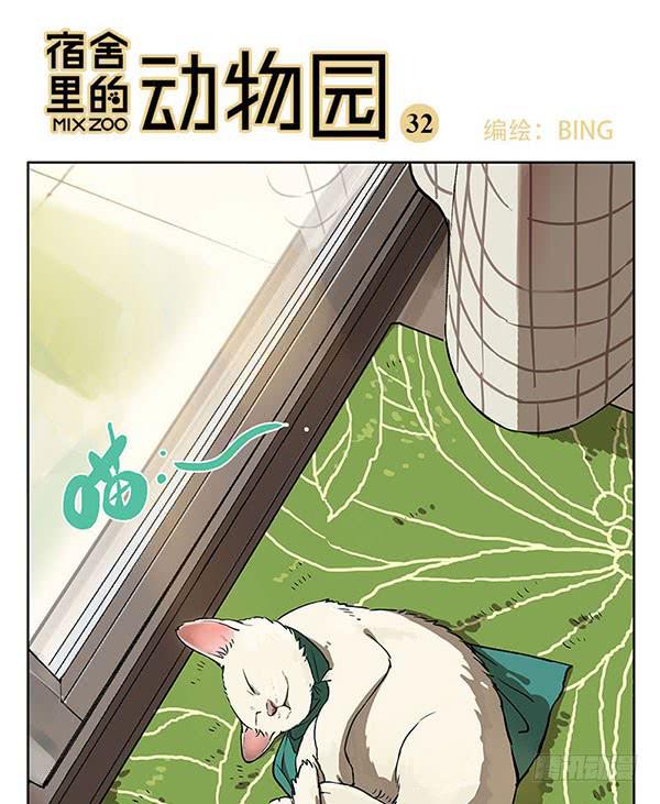32 猫猫宿舍大检查-第31话