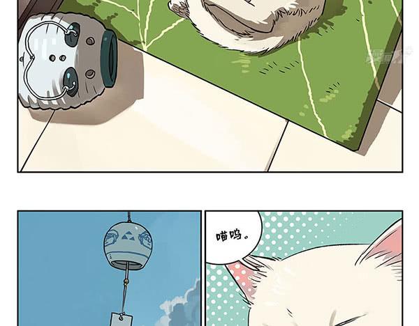 32 猫猫宿舍大检查-第31话