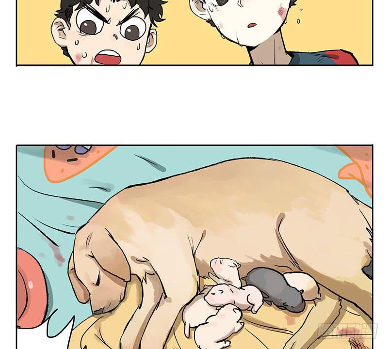 35 回家-第35话