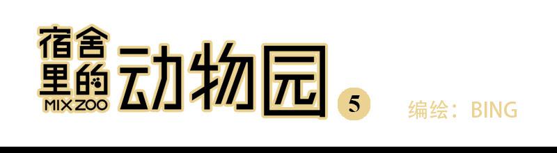 05 吵架-第5话