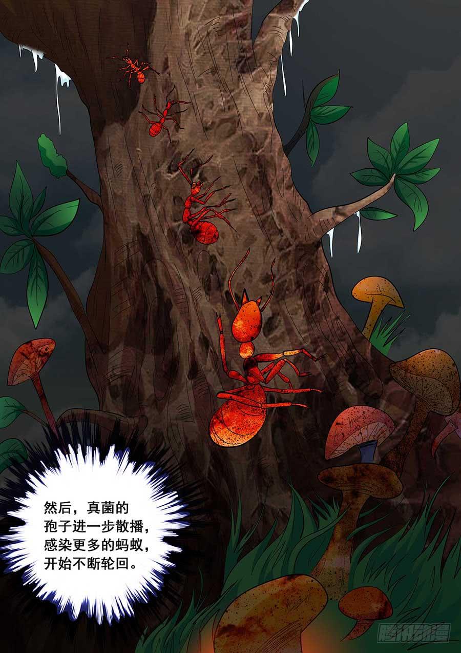 🍱素问玄机 21 上 第7页