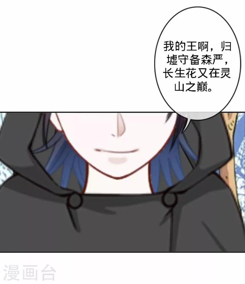 第49话 何为长生花？-第49话