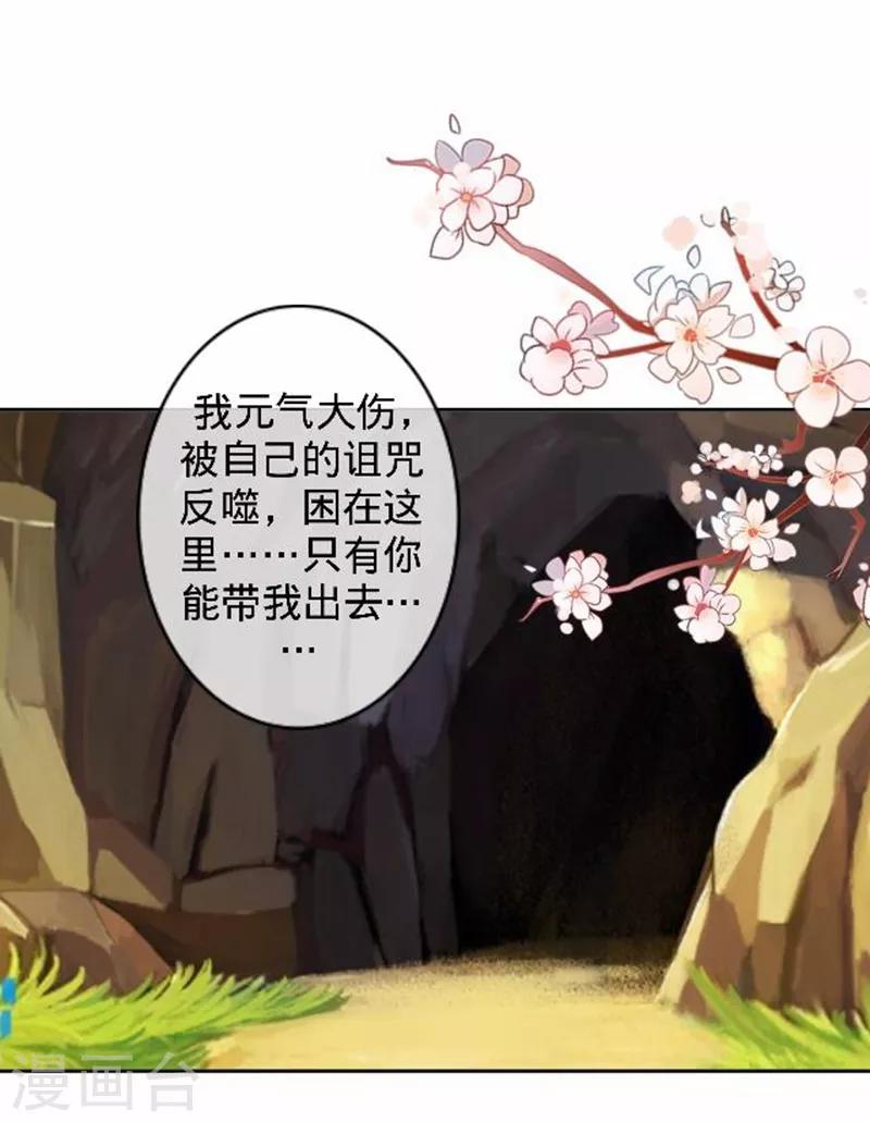 第49话 何为长生花？-第49话