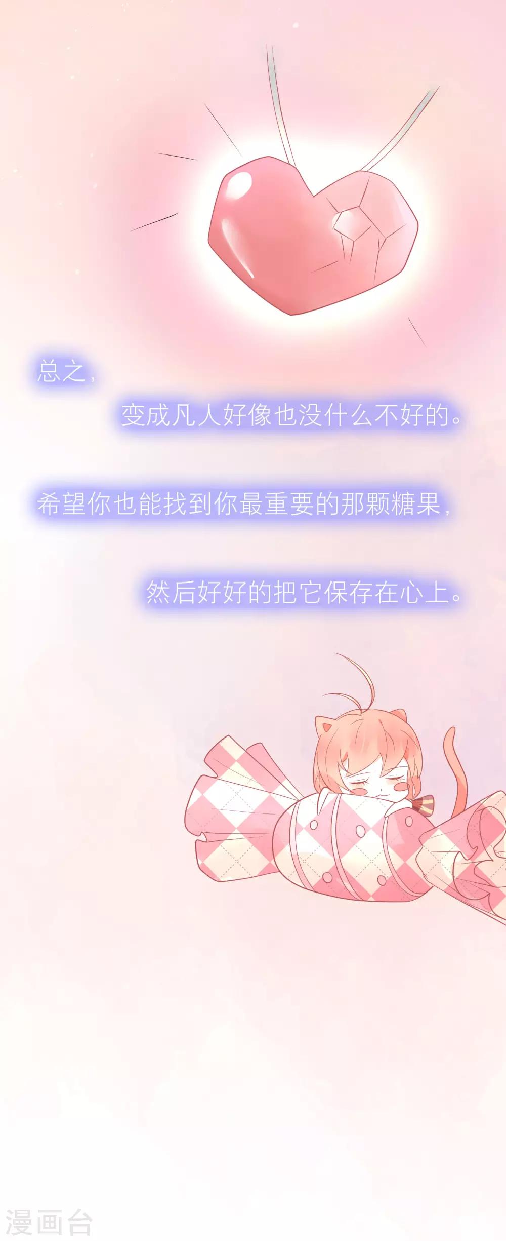 最终话-第43话