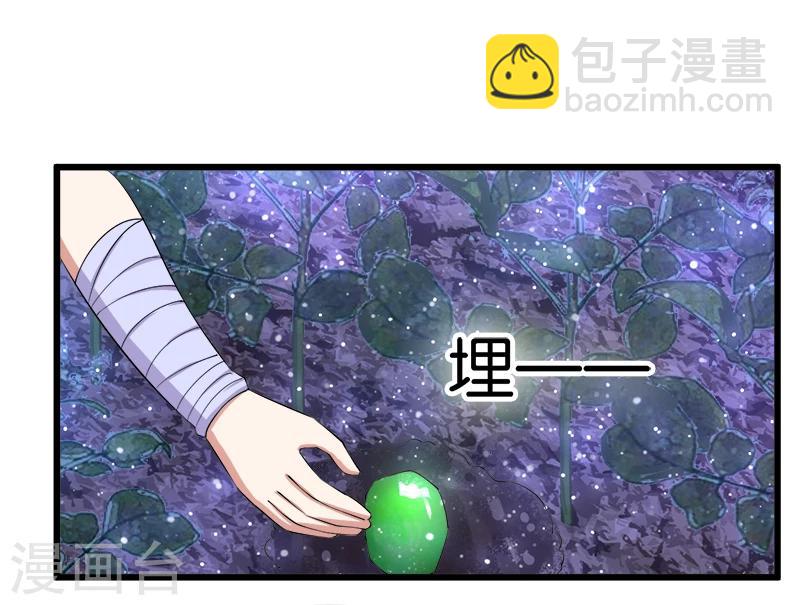 第202话 阵眼-第203话