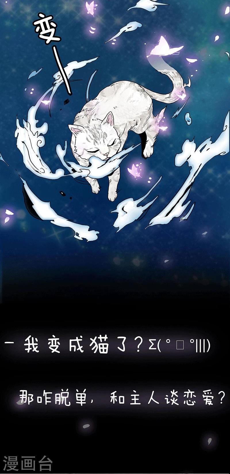 预告-第1话