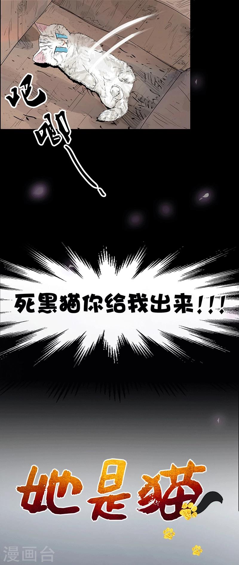 预告-第1话