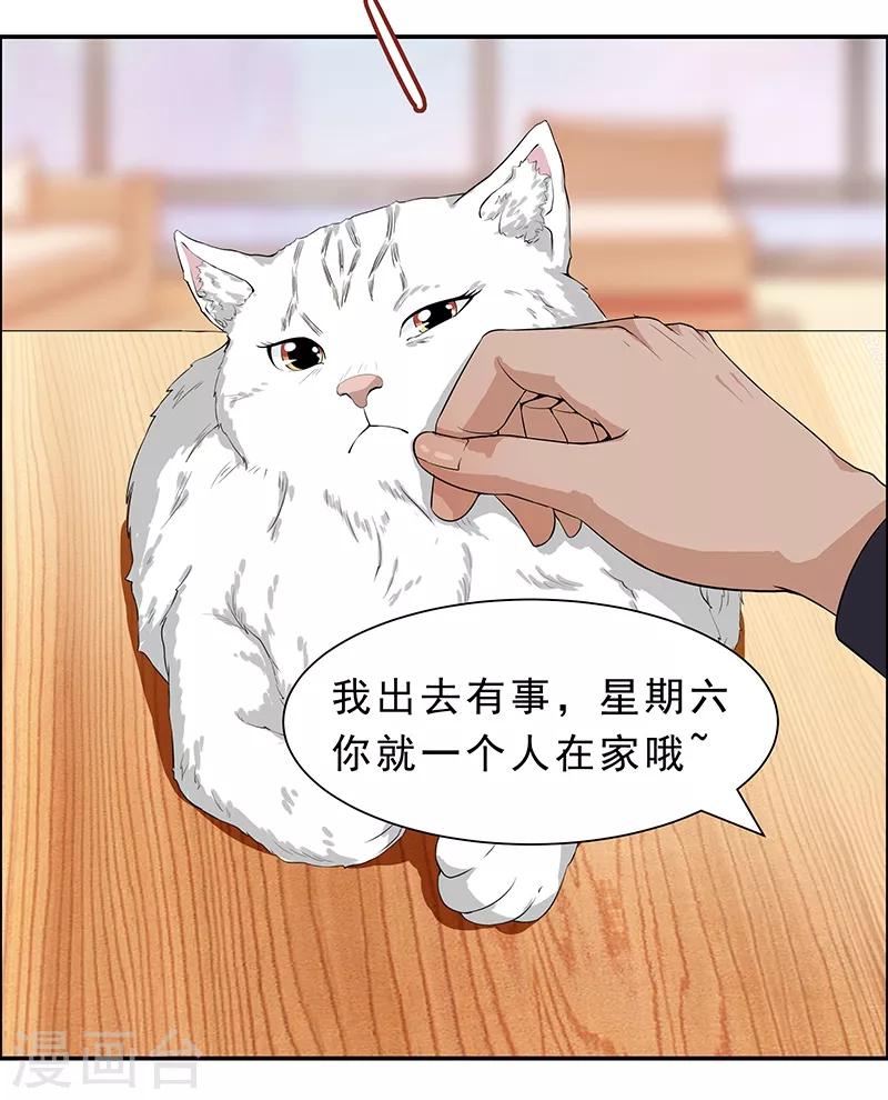 第6话 这是只有想法的猫-第7话