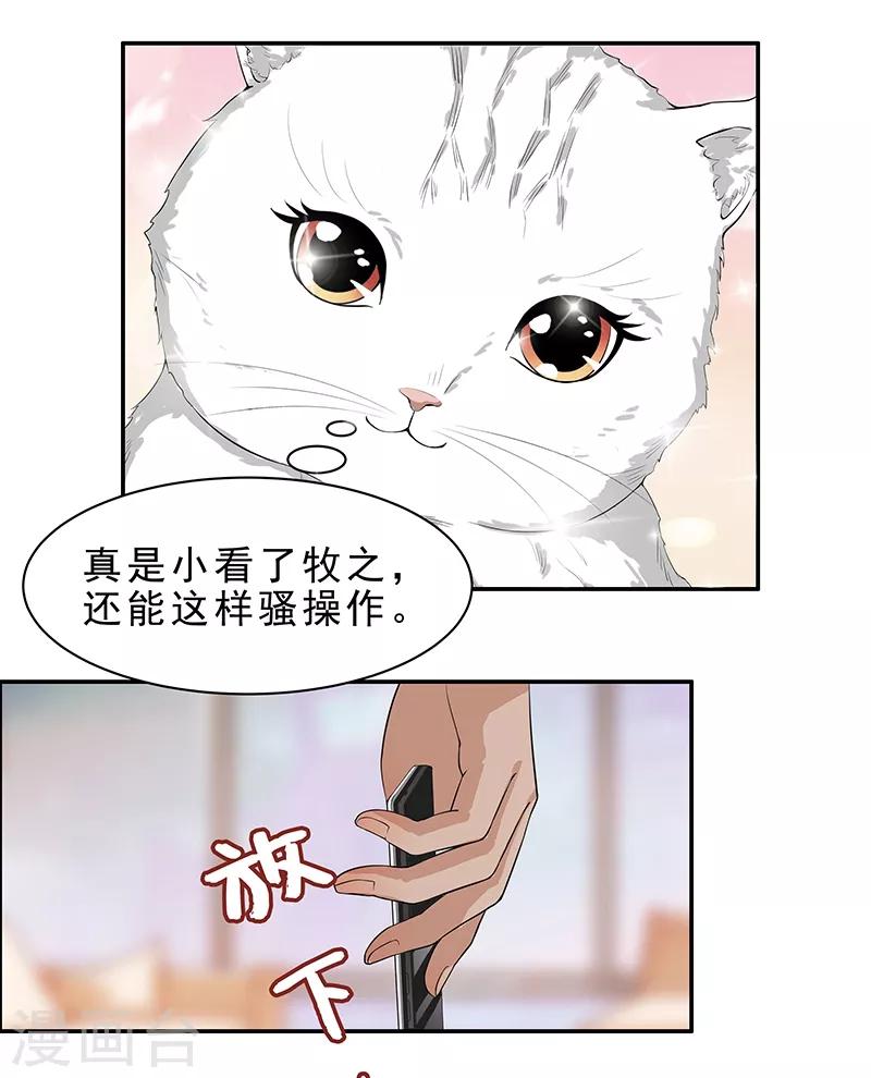 第6话 这是只有想法的猫-第7话