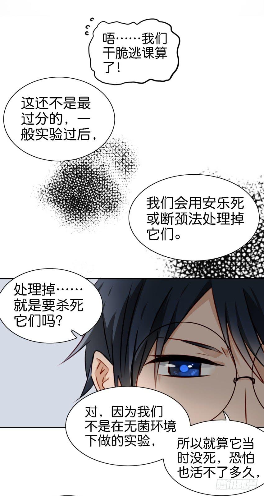 第六话 我们的秘密 中(1/2)-第13话