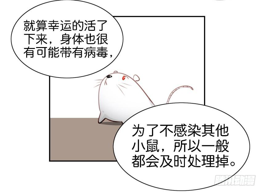 第六话 我们的秘密 中(1/2)-第13话
