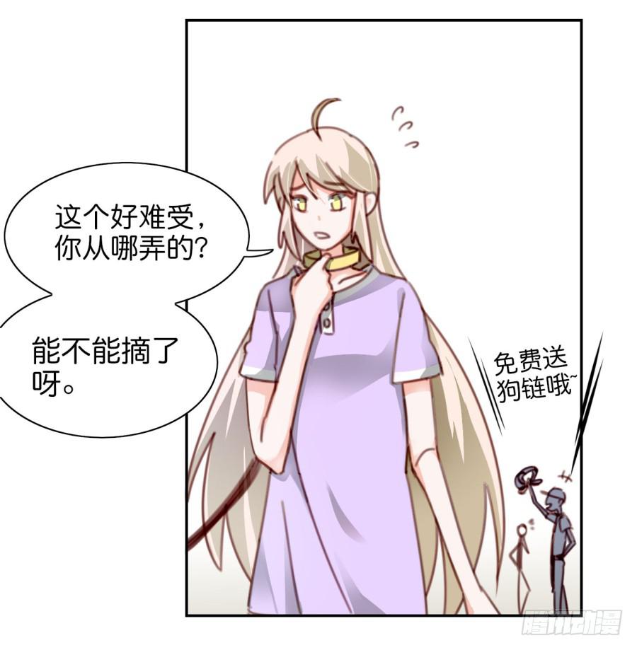 第二话 卫生纸大作战 下(1/2)-第5话
