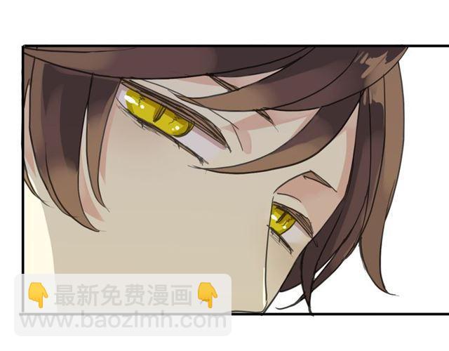 第14话 主人？(1/3)-第17话