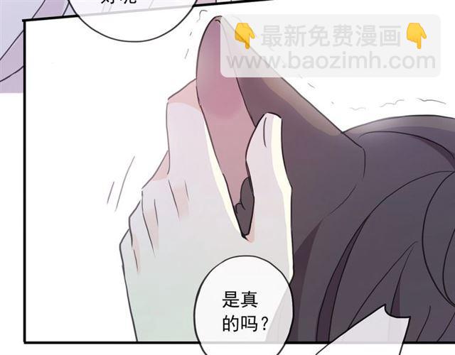 守护篇 第37话 两只小可爱(1/3)-第191话