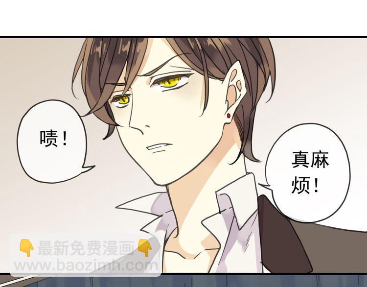 第8话 捉摸不透的温柔(1/4)-第11话