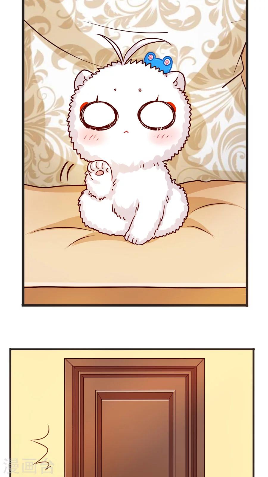 第39话 猫比狗受欢迎哦！-第39话