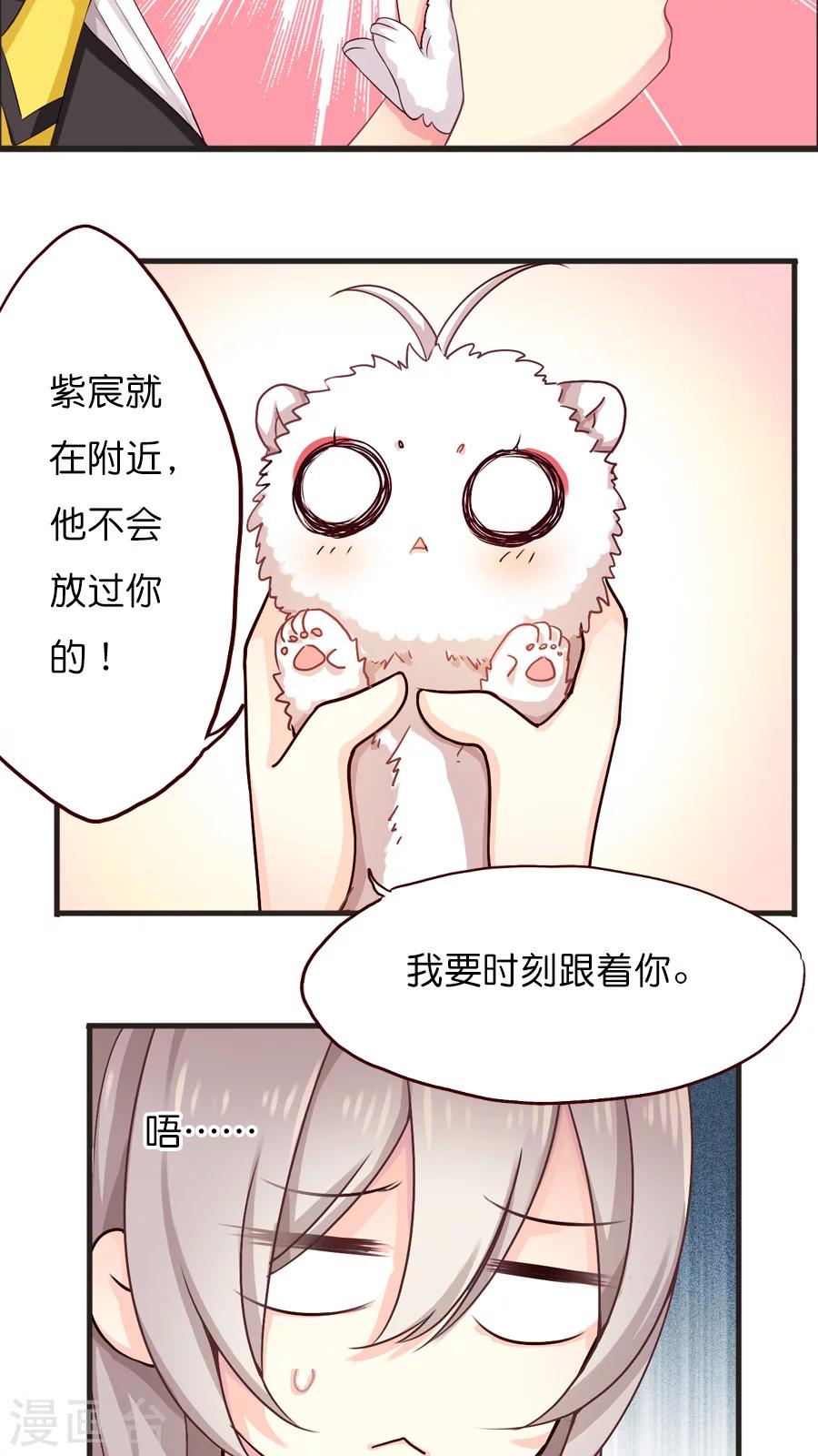 第39话 猫比狗受欢迎哦！-第39话