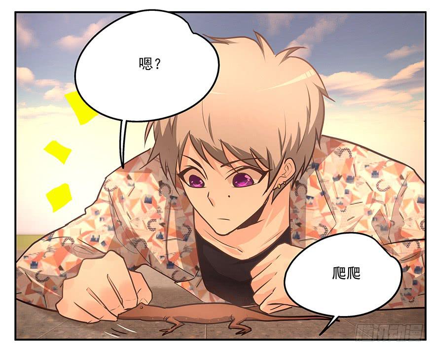 13.幻觉-第13话