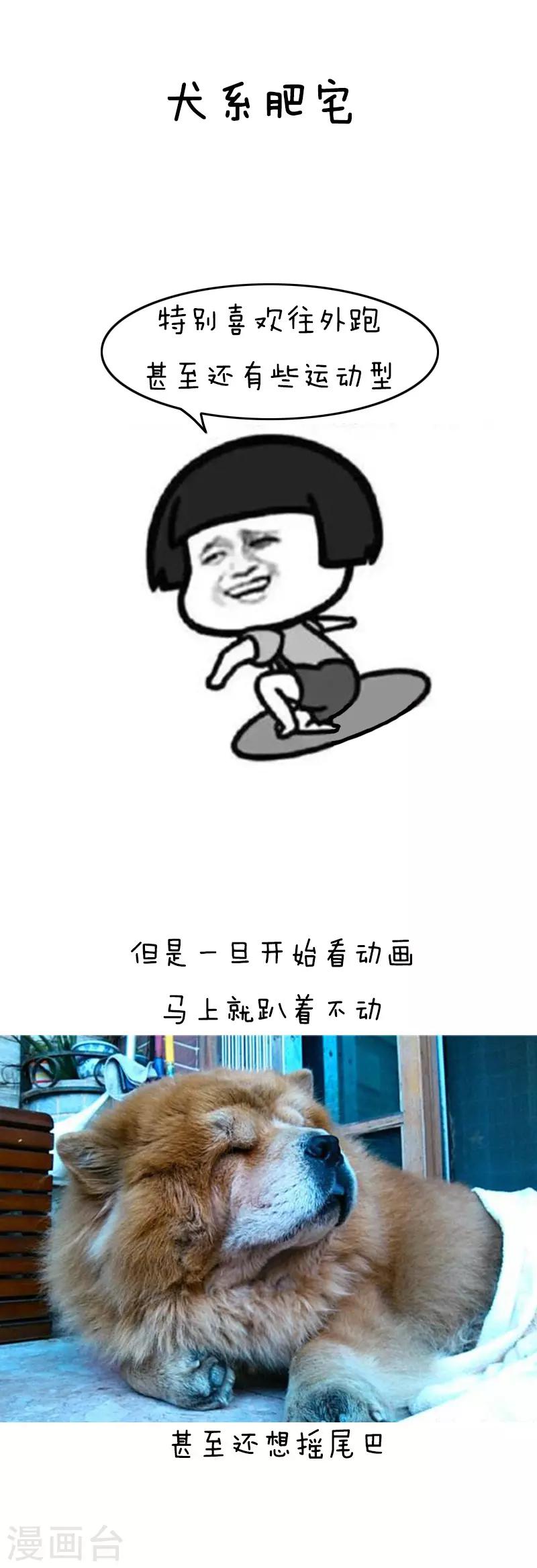 第110话 表情包丨从今天起，我们都是肥宅-第111话