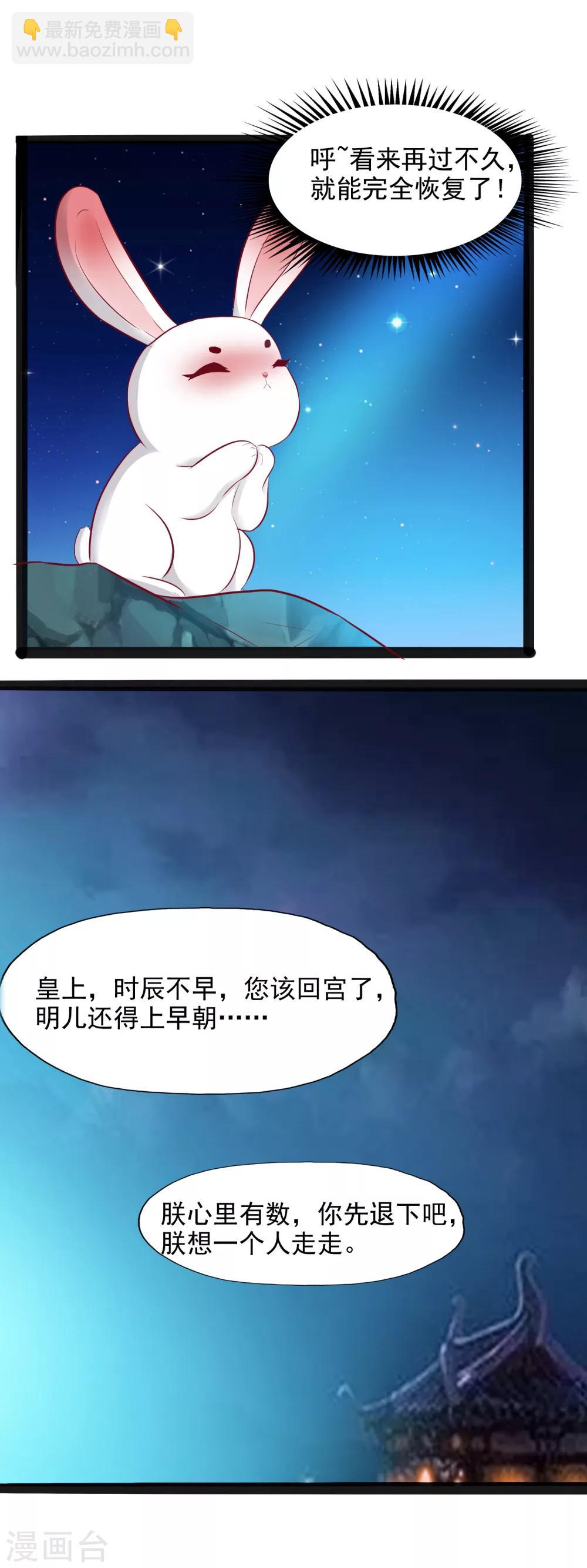 第35话 哪里来的小兔子-第37话