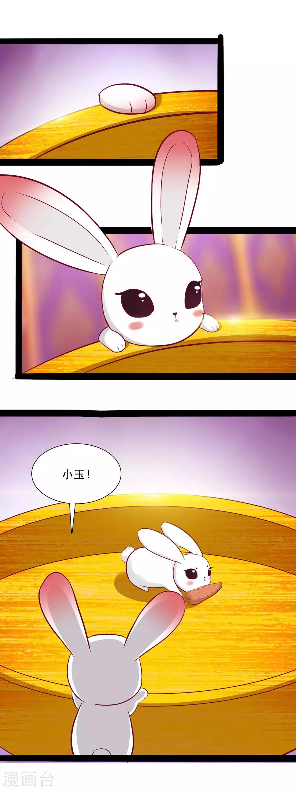 第49话 有意思的小兔妖-第51话