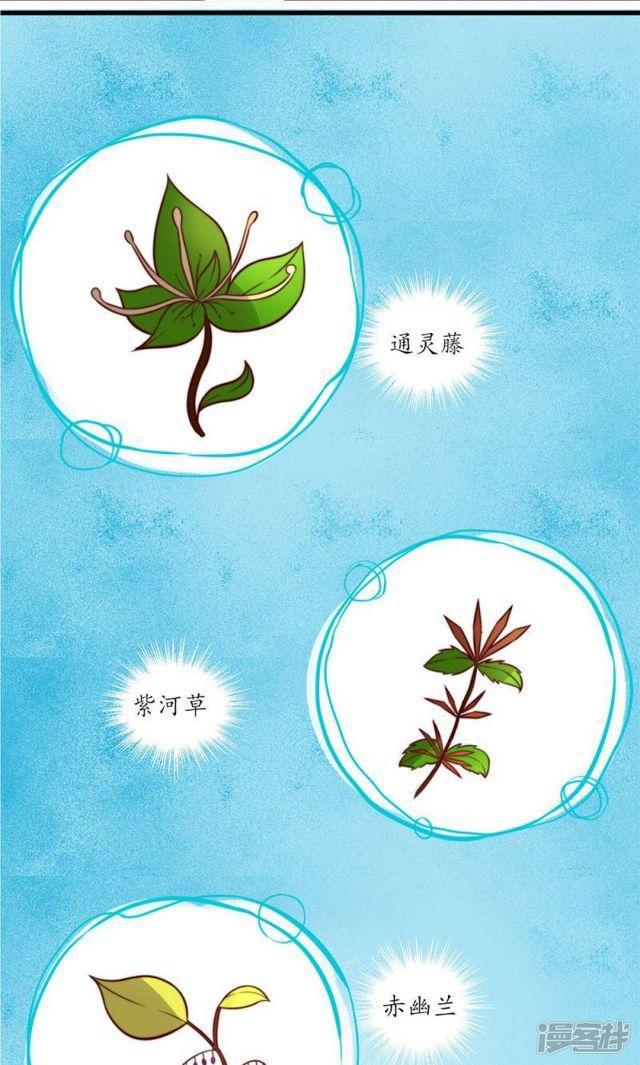 第12话-第13话