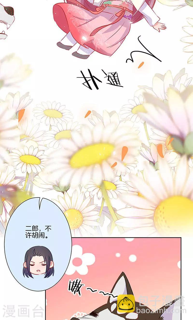 第66话-第67话