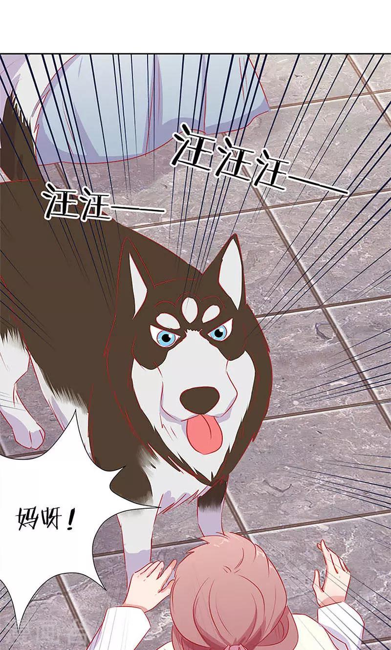 第66话-第67话