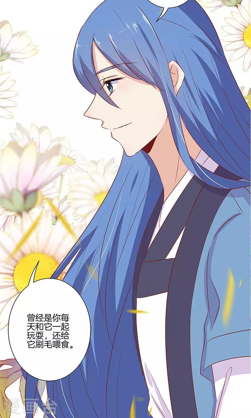第71话-第73话