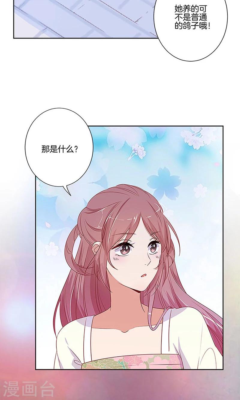 第77话-第79话