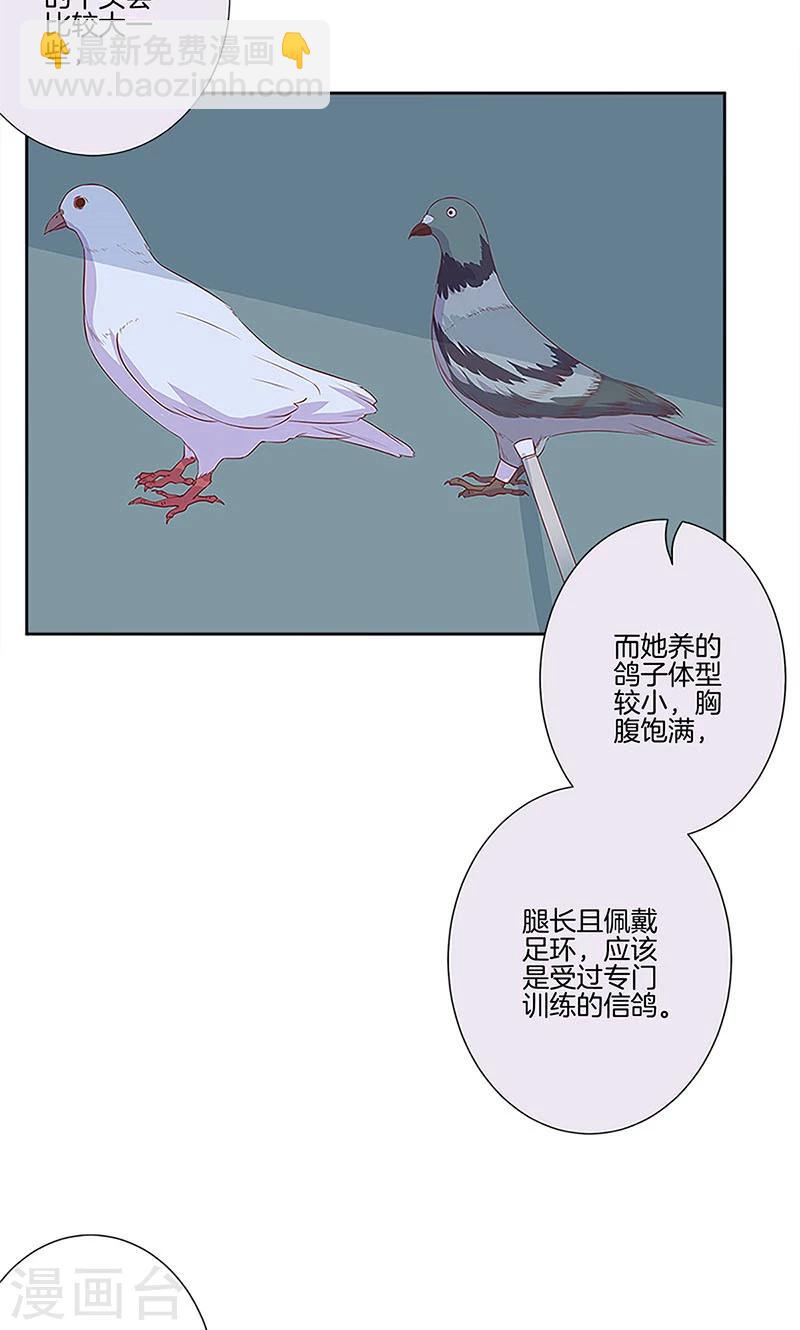 第77话-第79话