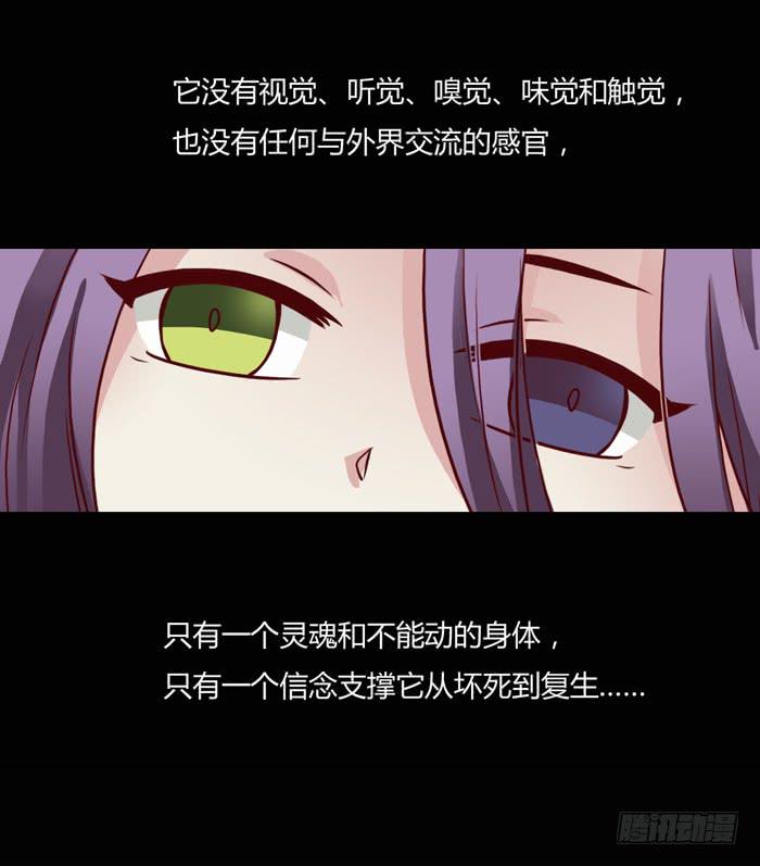 第二个心怡-第65话