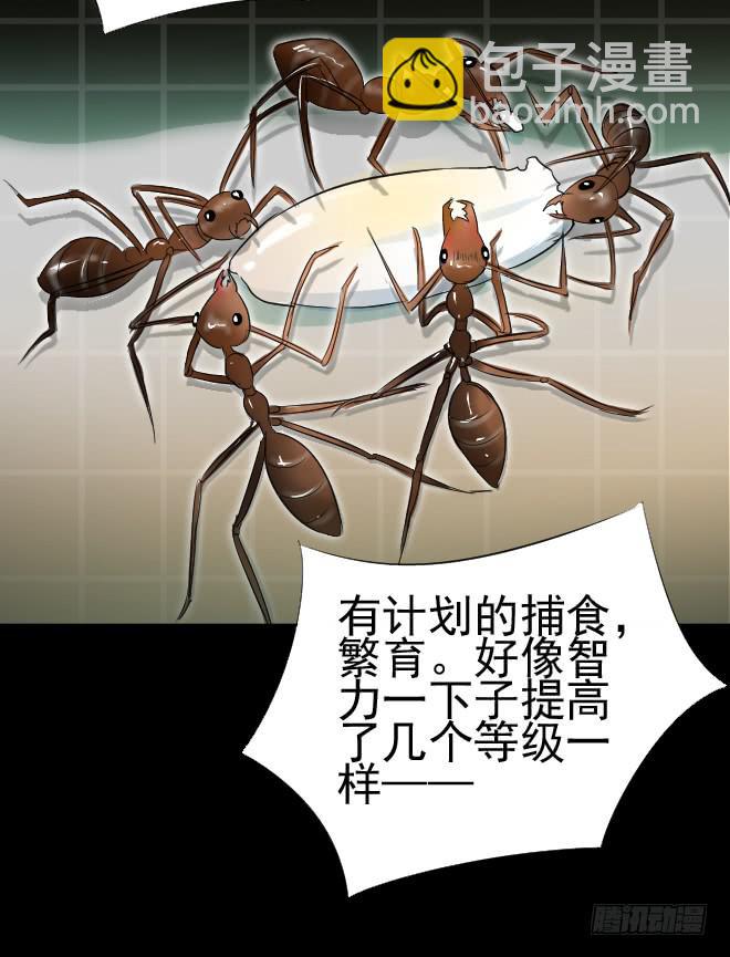 真相3-第87话
