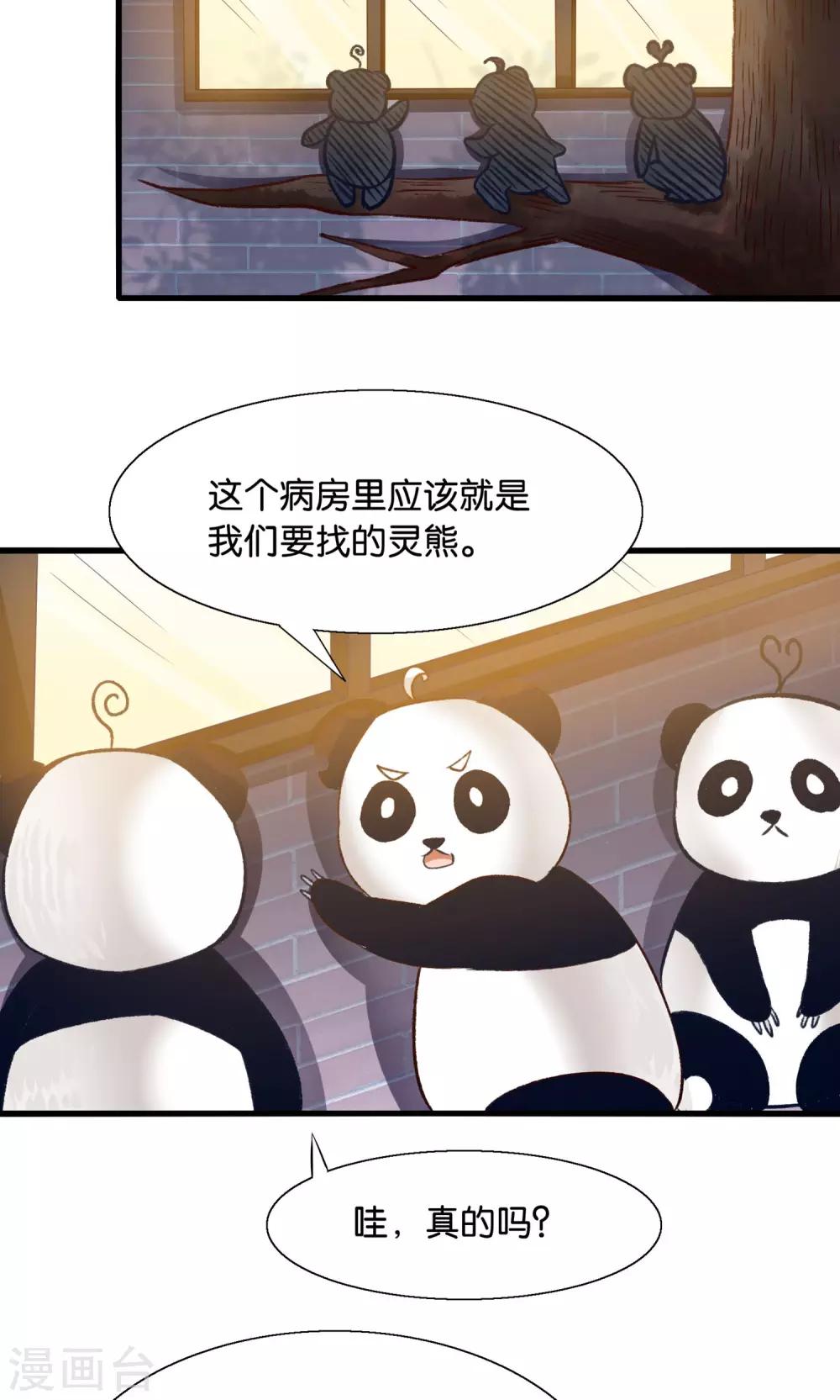 第12话 灵熊出没请注意-第13话