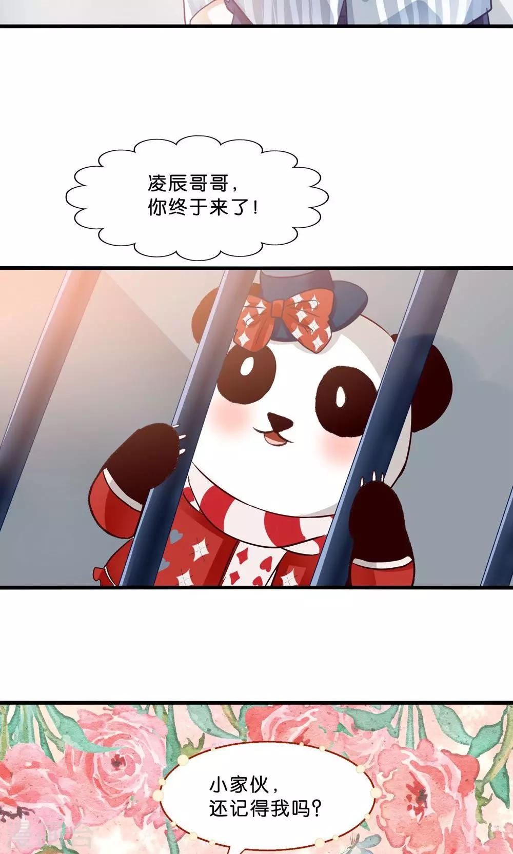 第4话 萌熊拳出击！-第5话